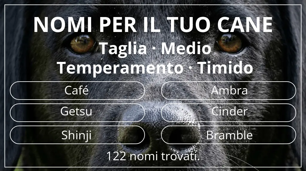 Nomi canini basati su taglia medio e temperamento timido