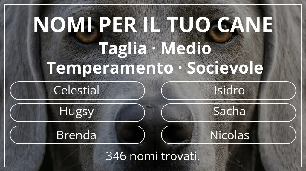 Nomi canini ispirati a taglia medio e temperamento socievole