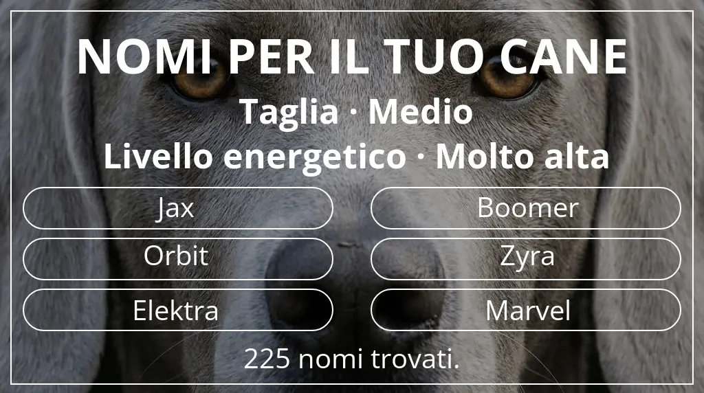 Nomi canini basati su taglia medio e livello energetico molto alta