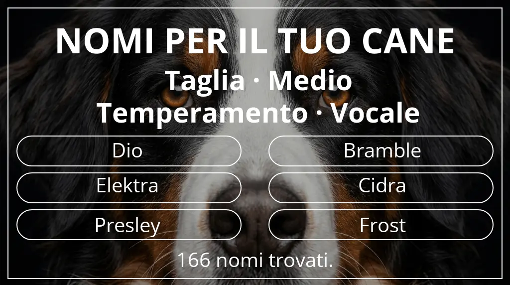 Nomi canini basati su taglia medio e temperamento vocale