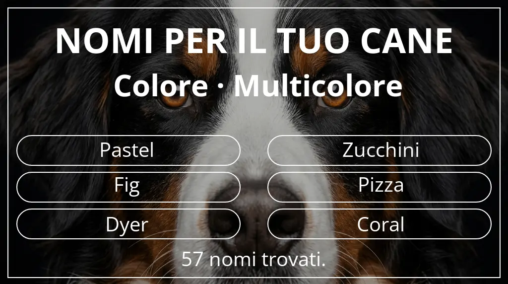 Nomi per cani basati su colore multicolore