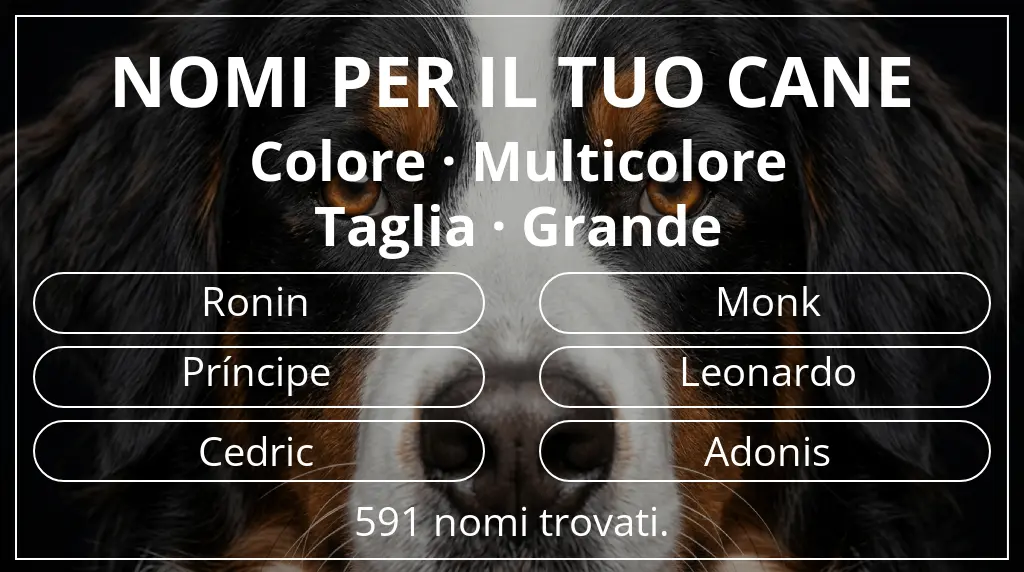 Nomi canini basati su colore multicolore e taglia grande