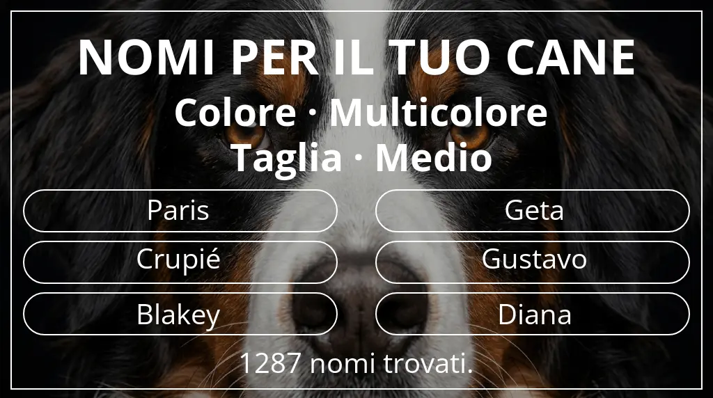 Nomi per cani ispirati a colore multicolore e taglia medio