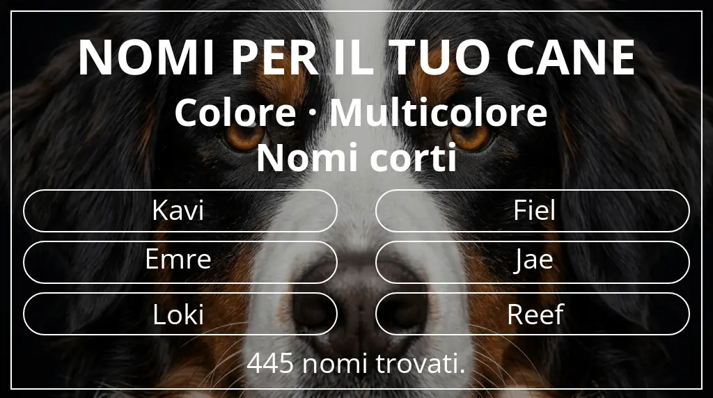 Nomi canini basati su colore multicolore e lunghezza del nome breve (2–4)