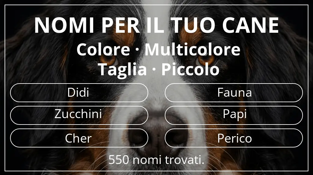 Nomi canini basati su colore multicolore e taglia piccolo