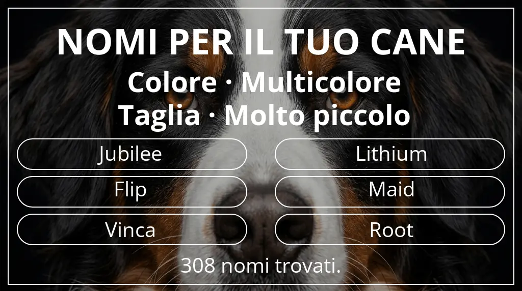 Nomi canini ispirati a colore multicolore e taglia molto piccolo