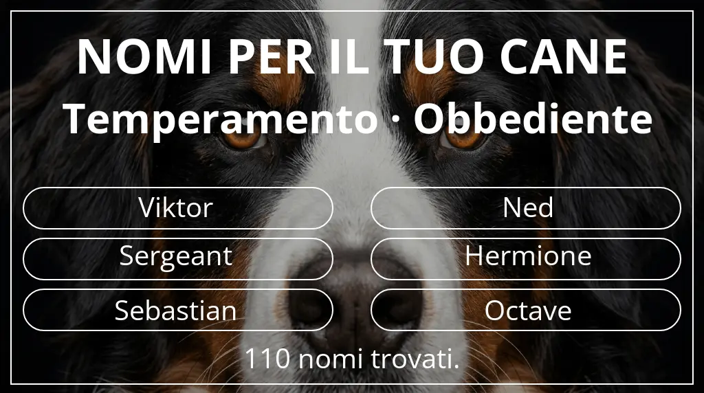 Nomi canini basati su temperamento obbediente