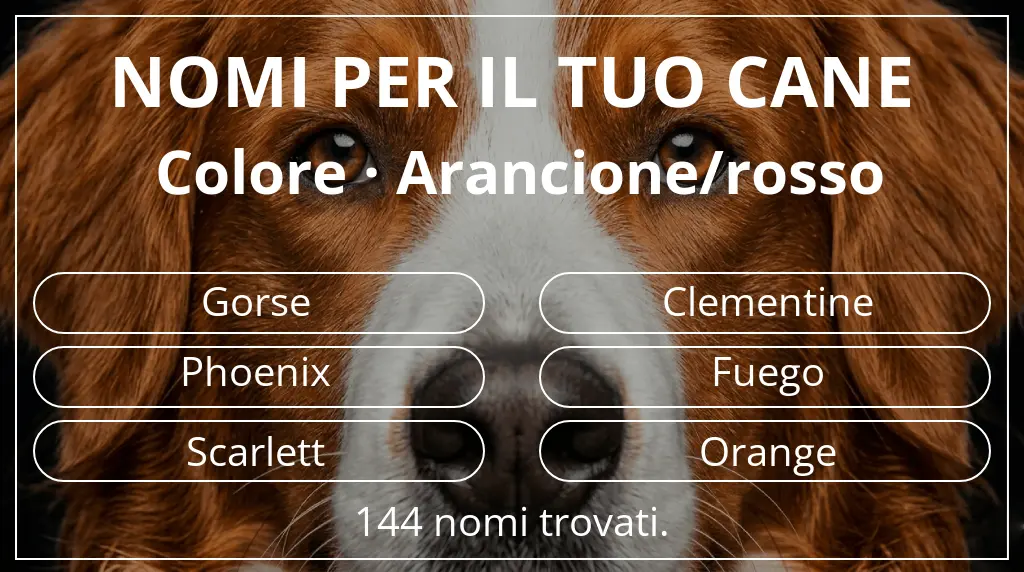 Nomi canini basati su colore arancione/rosso