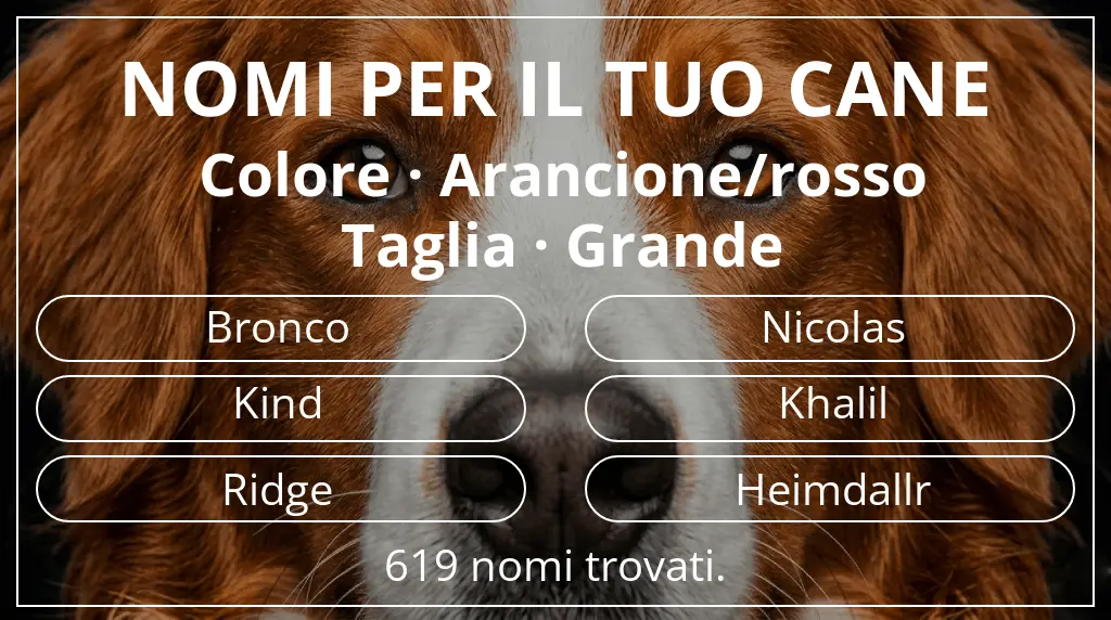 Nomi canini basati su colore arancione/rosso e taglia grande