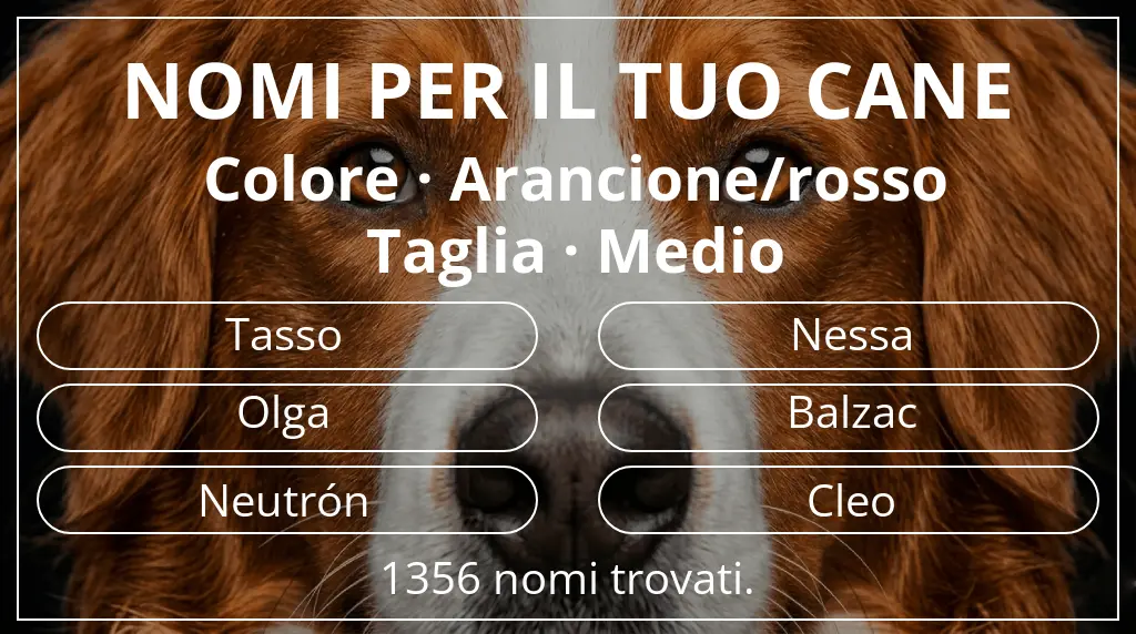 Nomi canini basati su colore arancione/rosso e taglia medio