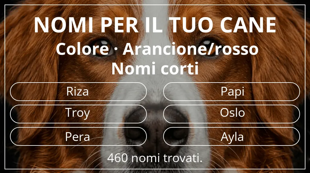 Nomi per cani ispirati a colore arancione/rosso e lunghezza del nome breve (2–4)