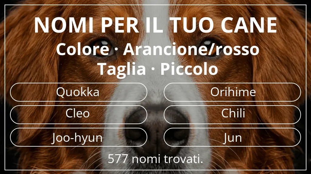Nomi canini ispirati a colore arancione/rosso e taglia piccolo