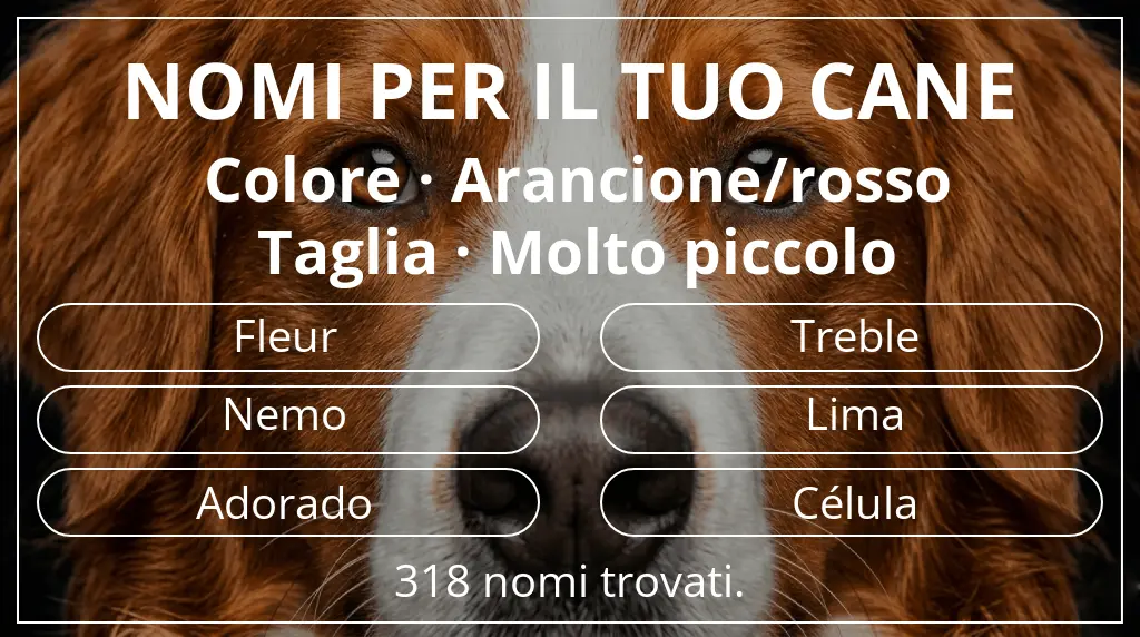 Nomi per cani ispirati a colore arancione/rosso e taglia molto piccolo