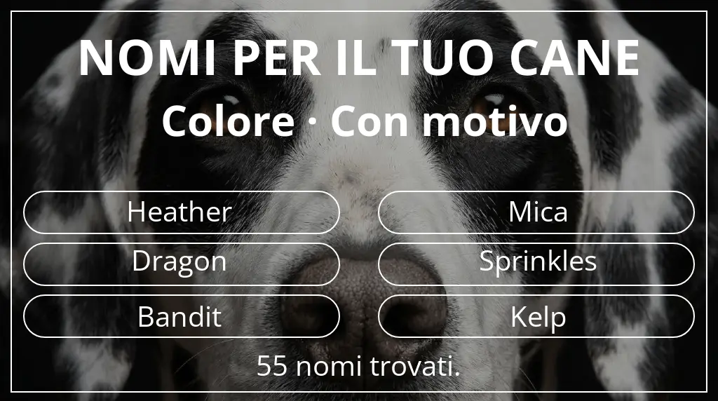 Nomi canini ispirati a colore con motivo