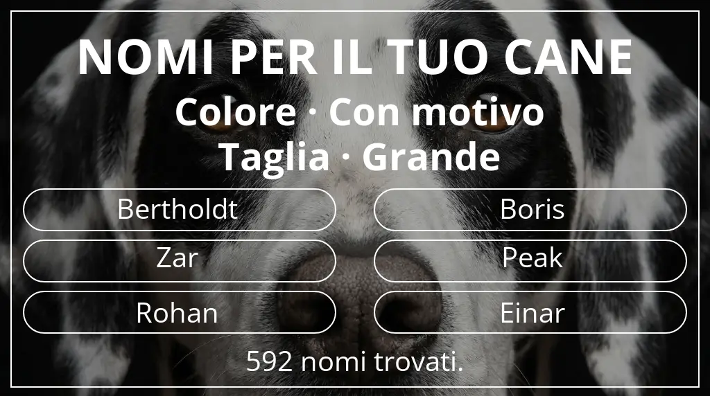 Nomi per cani basati su colore con motivo e taglia grande