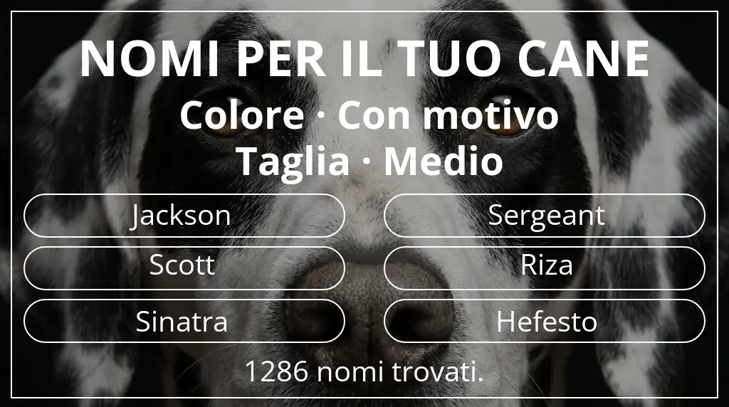 Nomi per cani ispirati a colore con motivo e taglia medio