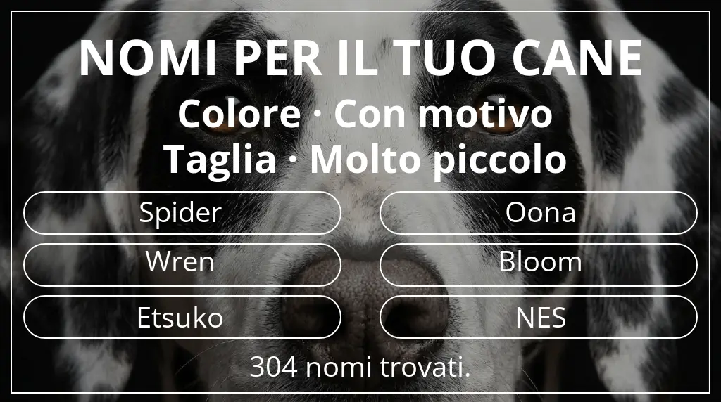Nomi per cani basati su colore con motivo e taglia molto piccolo