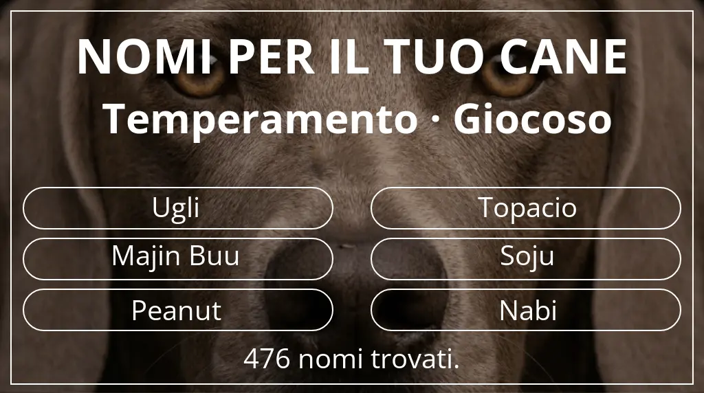 Nomi canini basati su temperamento giocoso