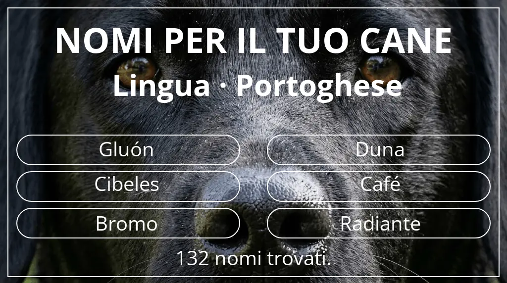 Nomi canini ispirati a lingua portoghese