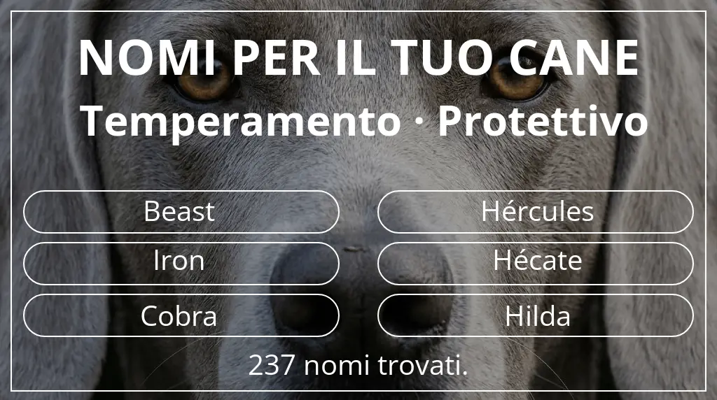 Nomi per cani basati su temperamento protettivo