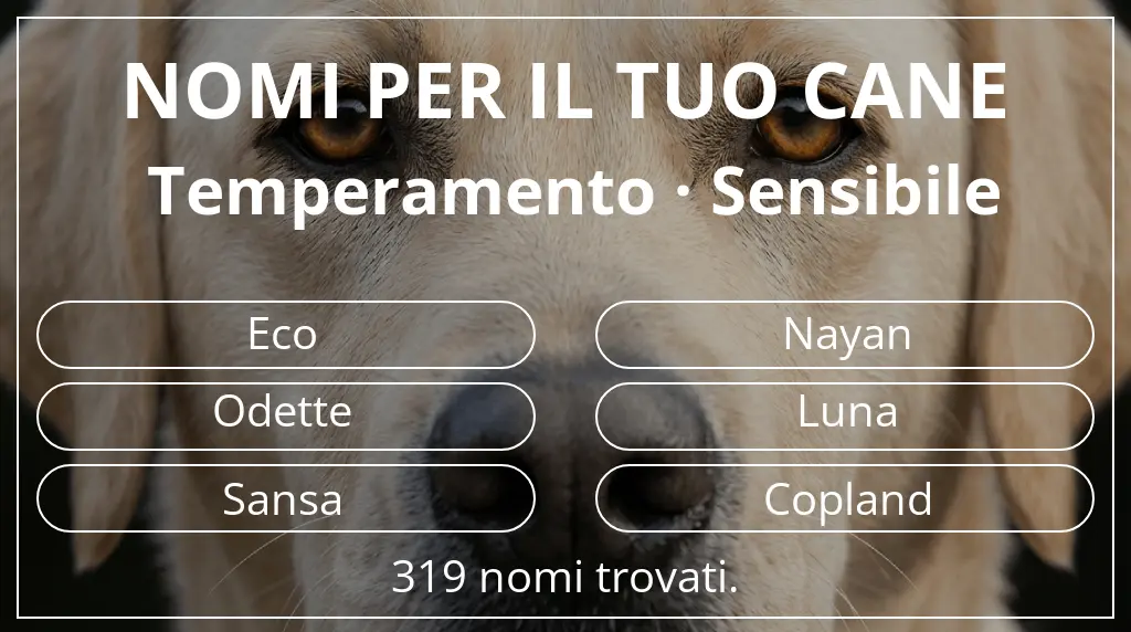 Nomi canini ispirati a temperamento sensibile