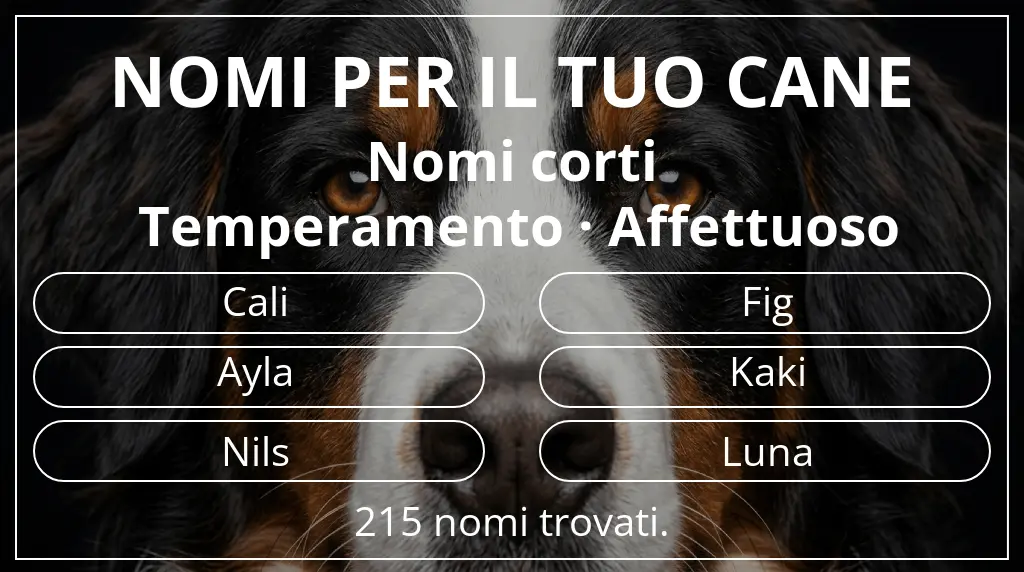 Nomi canini ispirati a lunghezza del nome breve (2–4) e temperamento affettuoso