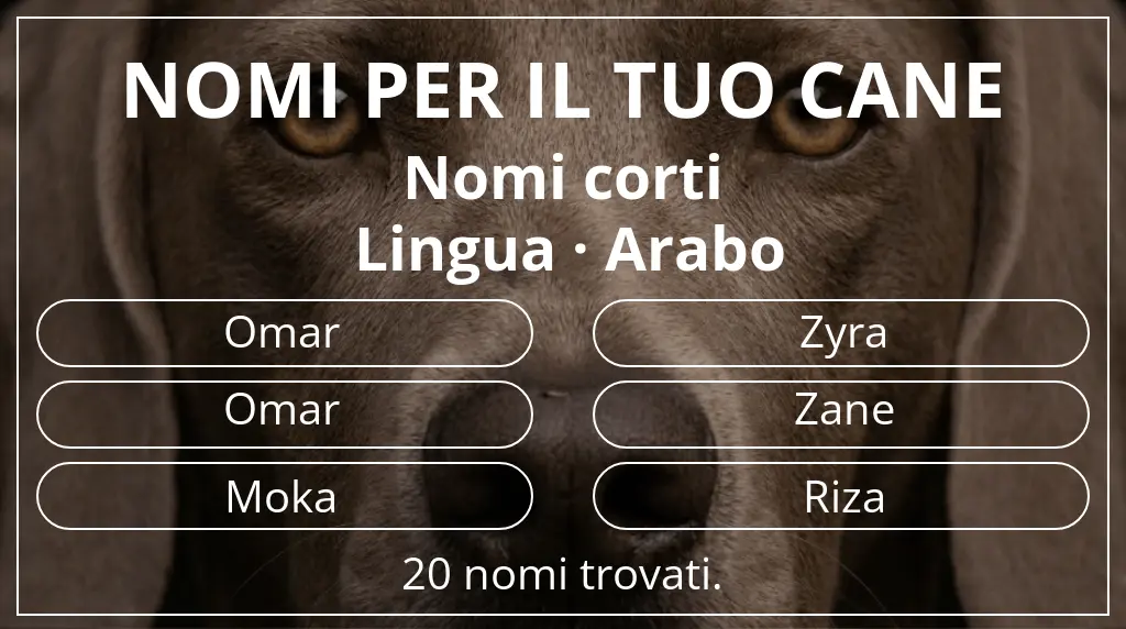 Nomi canini basati su lunghezza del nome breve (2–4) e lingua arabo