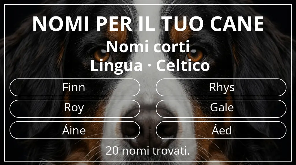 Nomi canini basati su lunghezza del nome breve (2–4) e lingua celtico
