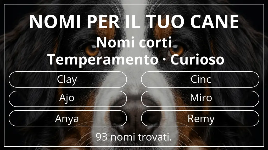 Nomi per cani ispirati a lunghezza del nome breve (2–4) e temperamento curioso