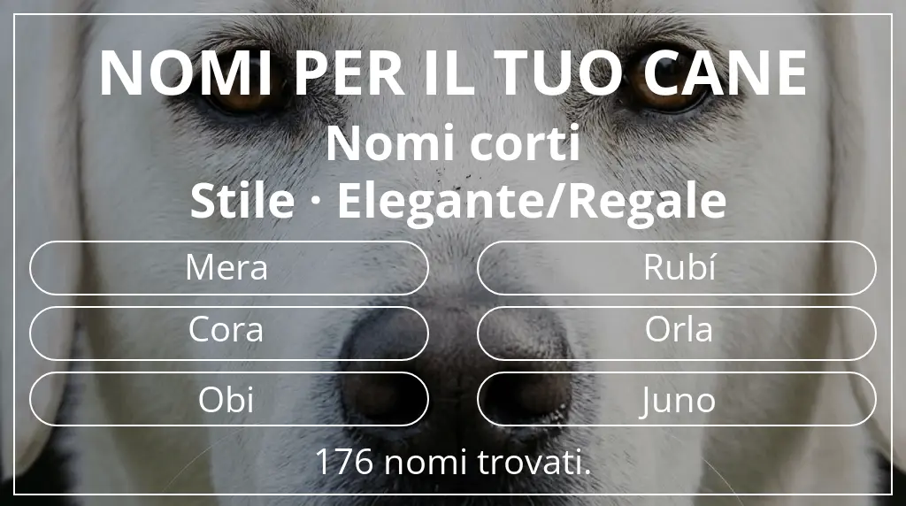 Nomi per cani basati su lunghezza del nome breve (2–4) e stile elegante/regale