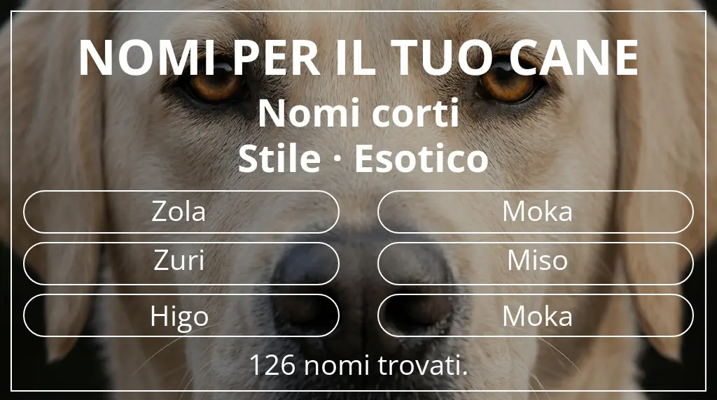 Nomi per cani basati su lunghezza del nome breve (2–4) e stile esotico