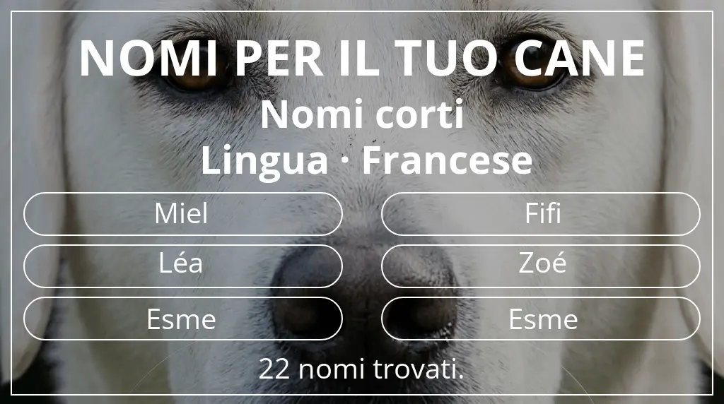 Nomi per cani basati su lunghezza del nome breve (2–4) e lingua francese