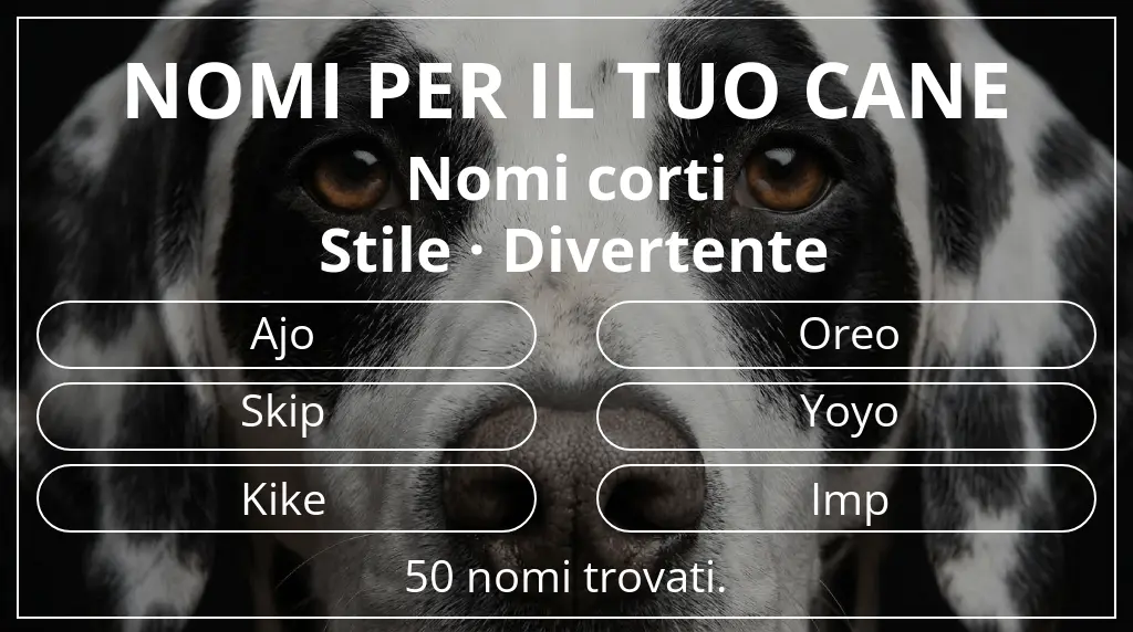 Nomi canini basati su lunghezza del nome breve (2–4) e stile divertente