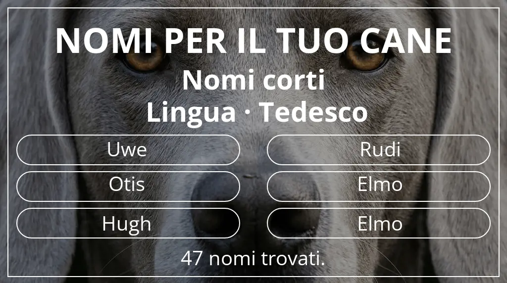 Nomi per cani basati su lunghezza del nome breve (2–4) e lingua tedesco