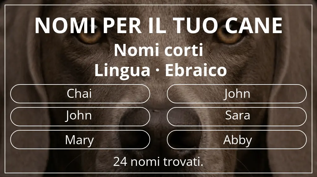 Nomi canini ispirati a lunghezza del nome breve (2–4) e lingua ebraico