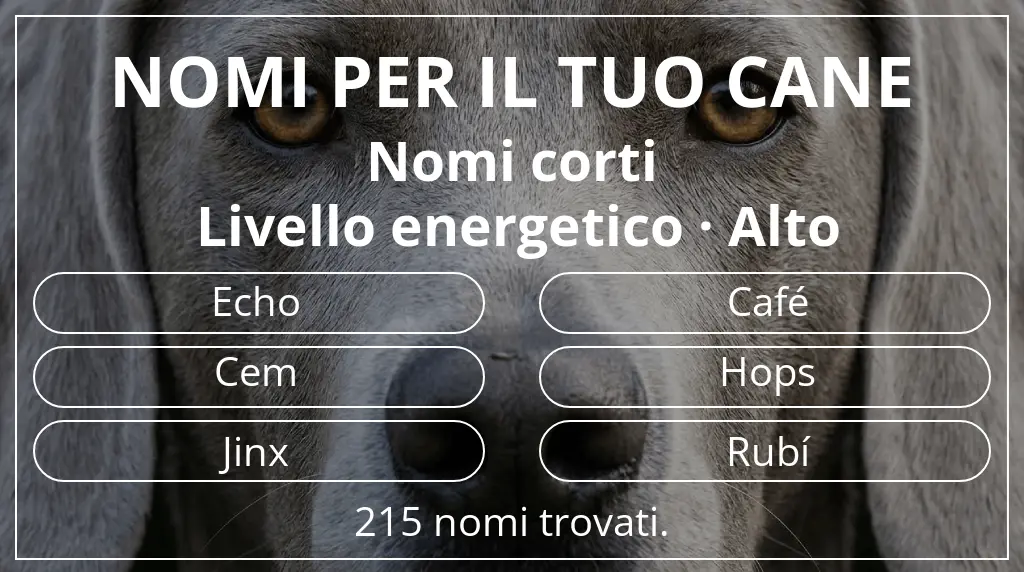 Nomi per cani ispirati a lunghezza del nome breve (2–4) e livello energetico alto