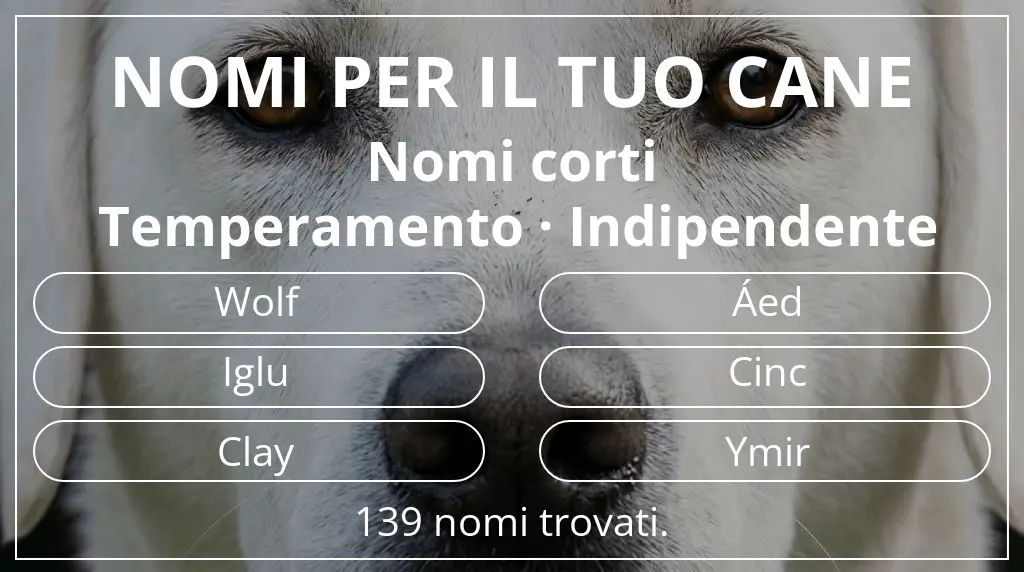 Nomi per cani ispirati a lunghezza del nome breve (2–4) e temperamento indipendente