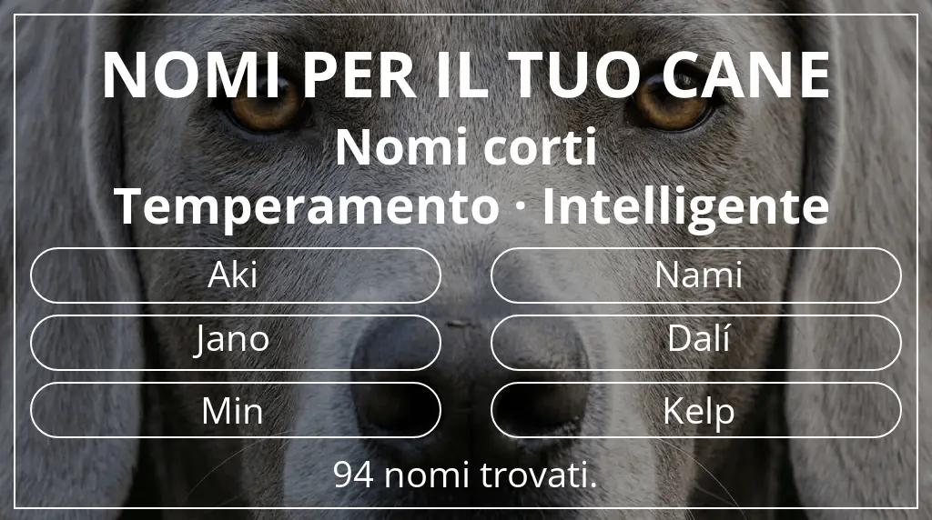 Nomi per cani ispirati a lunghezza del nome breve (2–4) e temperamento intelligente