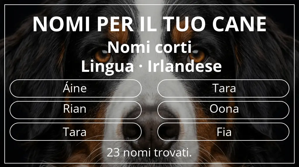 Nomi per cani ispirati a lunghezza del nome breve (2–4) e lingua irlandese