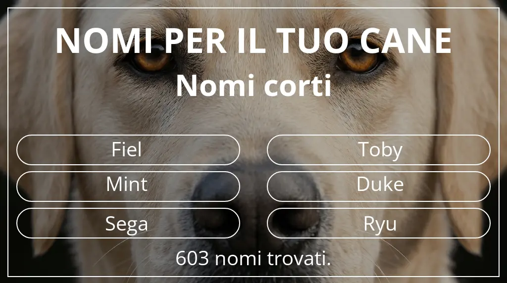 Nomi per cani basati su lunghezza del nome breve (2–4)
