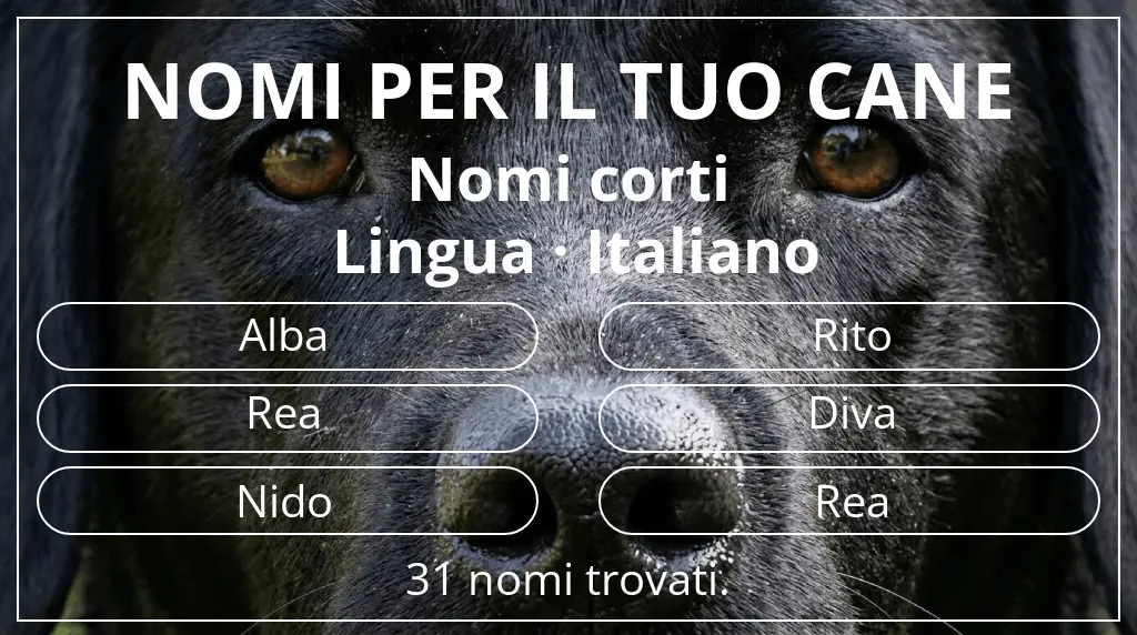 Nomi per cani basati su lunghezza del nome breve (2–4) e lingua italiano