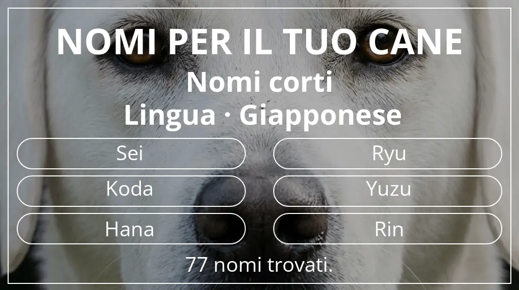 Nomi per cani ispirati a lunghezza del nome breve (2–4) e lingua giapponese