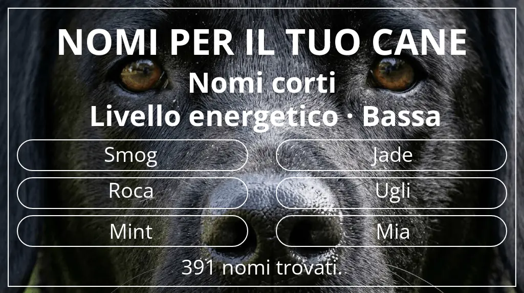 Nomi canini basati su lunghezza del nome breve (2–4) e livello energetico bassa