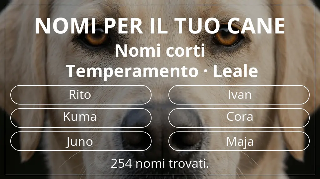 Nomi per cani ispirati a lunghezza del nome breve (2–4) e temperamento leale