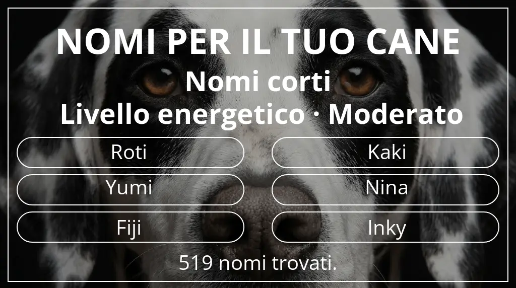 Nomi per cani basati su lunghezza del nome breve (2–4) e livello energetico moderato