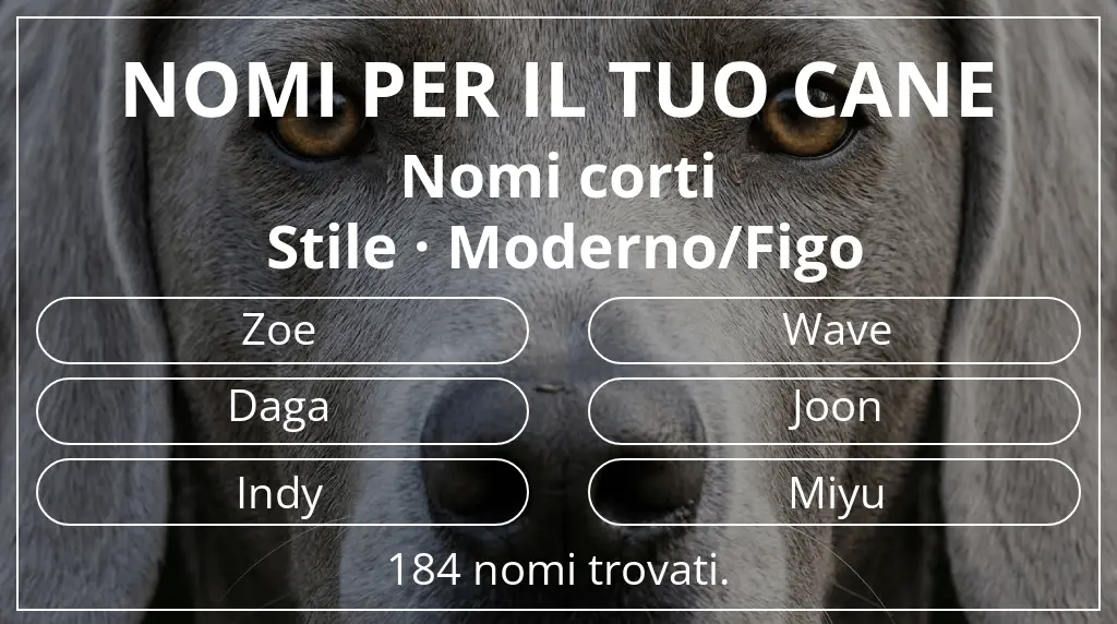 Nomi per cani basati su lunghezza del nome breve (2–4) e stile moderno/figo