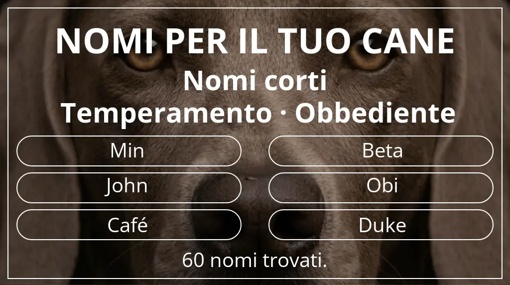 Nomi canini basati su lunghezza del nome breve (2–4) e temperamento obbediente