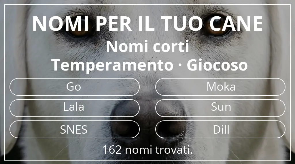 Nomi per cani basati su lunghezza del nome breve (2–4) e temperamento giocoso