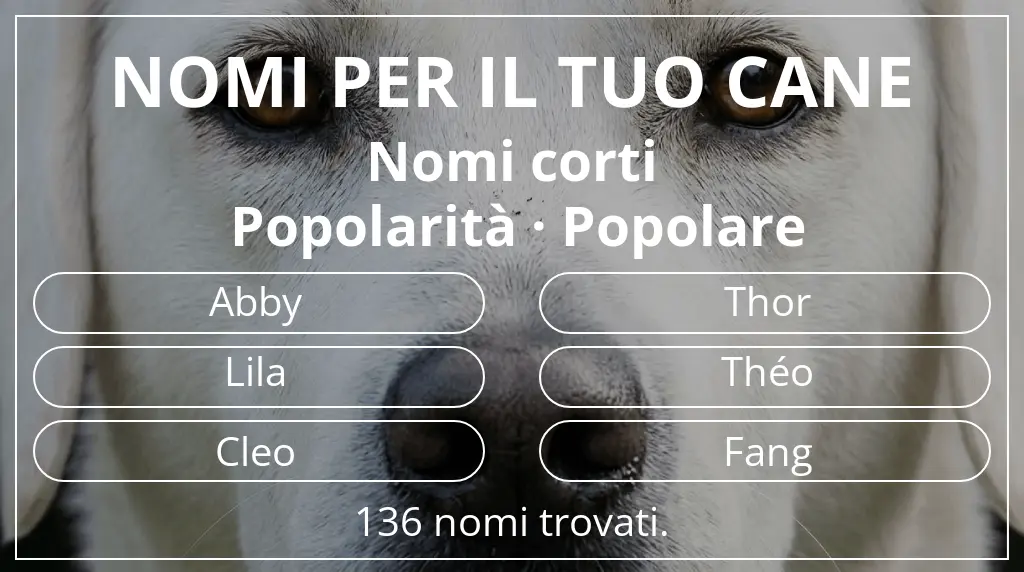 Nomi canini ispirati a lunghezza del nome breve (2–4) e popolarità popolare