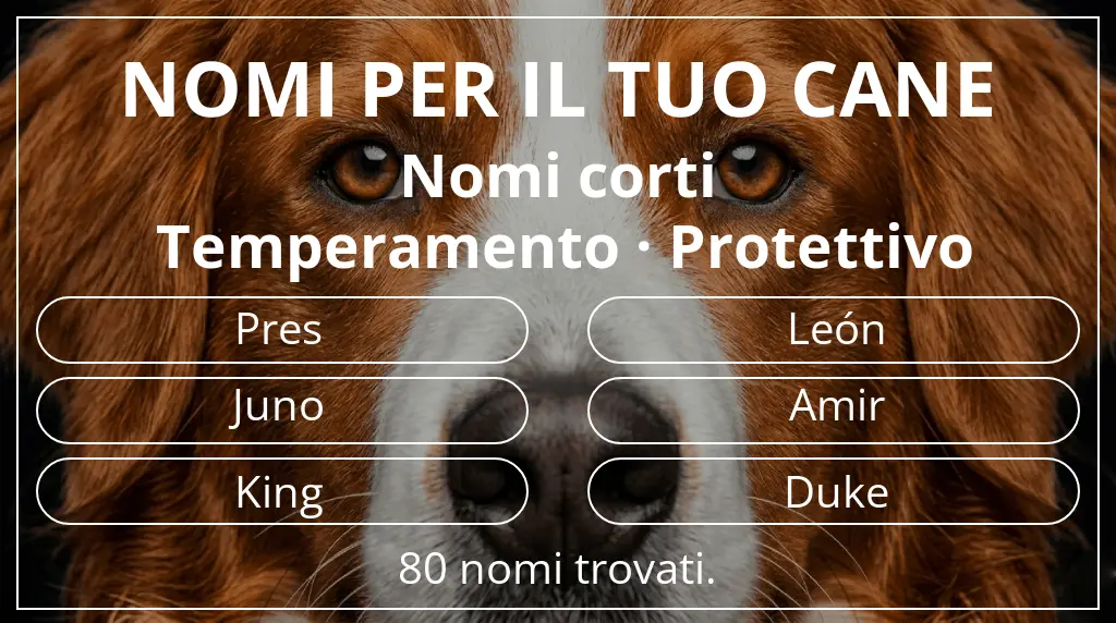 Nomi per cani ispirati a lunghezza del nome breve (2–4) e temperamento protettivo